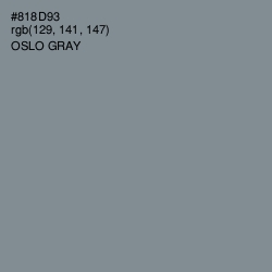 #818D93 - Oslo Gray Color Image